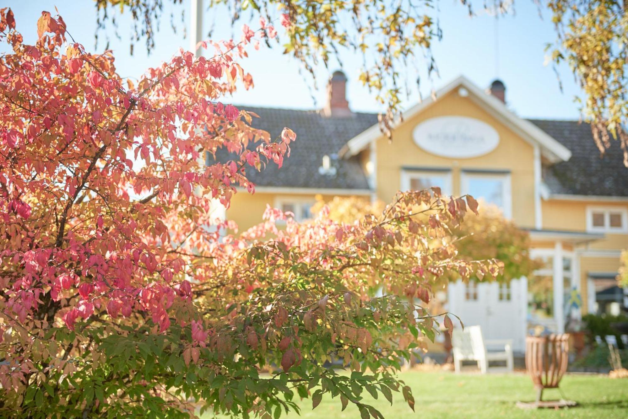 Hotell Bjoerkhaga Mullsjö Екстериор снимка